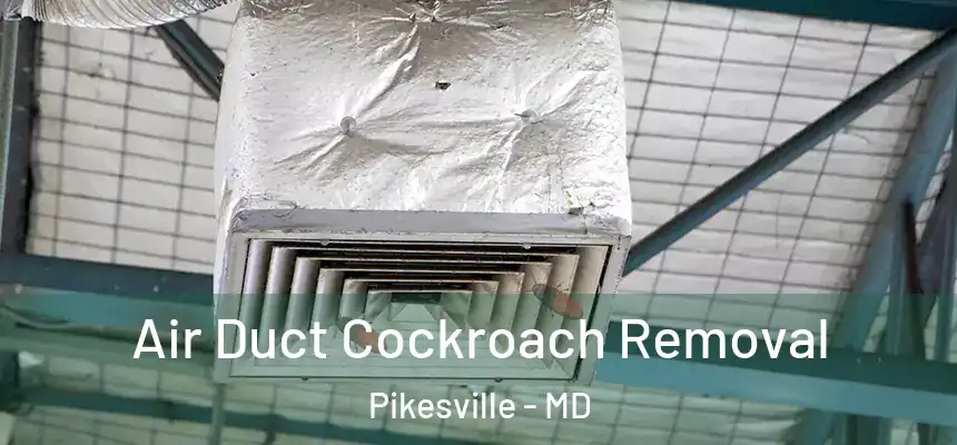 Air Duct Cockroach Removal Pikesville - MD