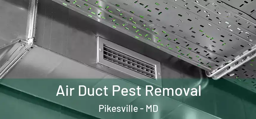 Air Duct Pest Removal Pikesville - MD
