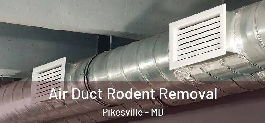 Air Duct Rodent Removal Pikesville - MD