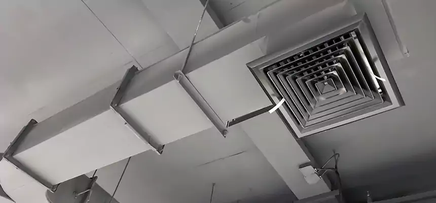 Restorative Allergy Relief Vent Cleaning – Coil, Blower & Housing Detail in Pikesville