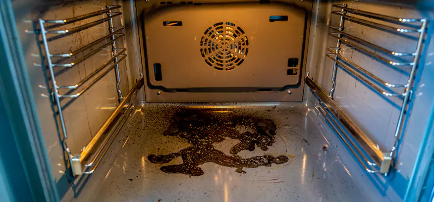 Our Dryer Vent Mold Cleaning Services in Pikesville, MD