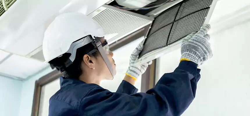 Our Mold & Mildew Removal from Air Ducts Services in Pikesville, MD