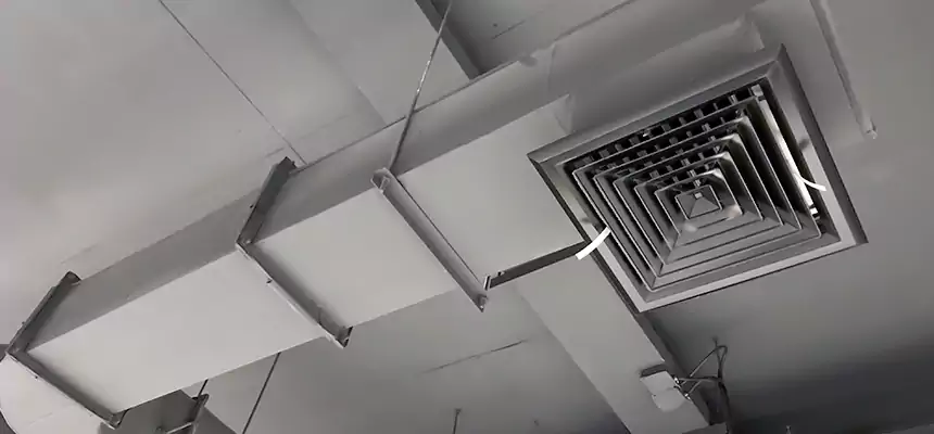 Our Pest Removal From Ducts Services in Pikesville, MD