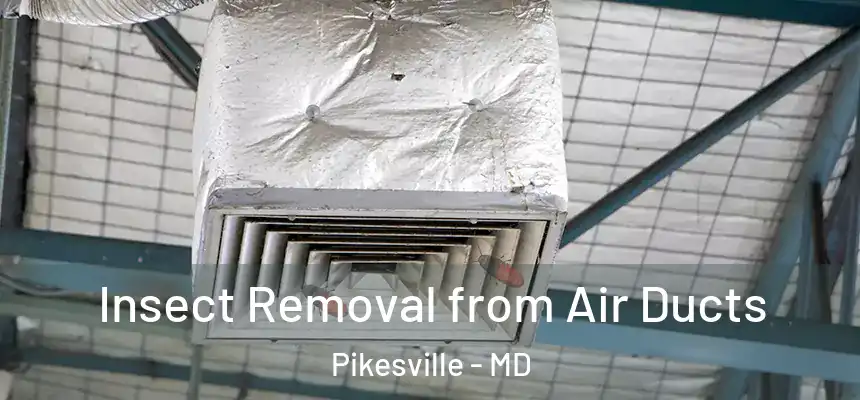 Insect Removal from Air Ducts Pikesville - MD