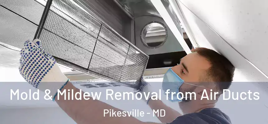  Mold & Mildew Removal from Air Ducts Pikesville - MD
