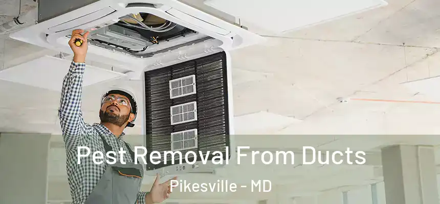 Pest Removal From Ducts Pikesville - MD