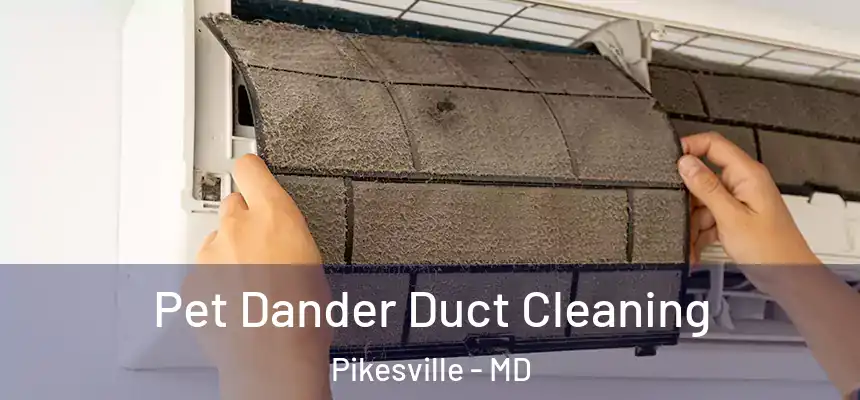 Pet Dander Duct Cleaning Pikesville - MD