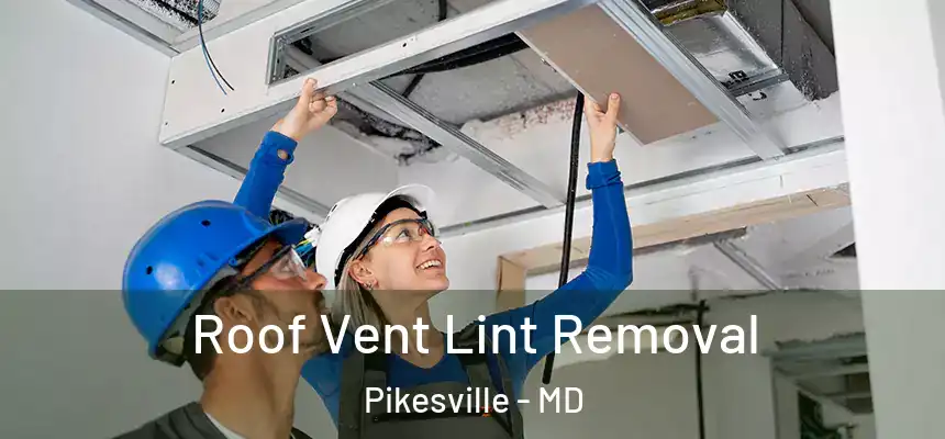 Roof Vent Lint Removal Pikesville - MD