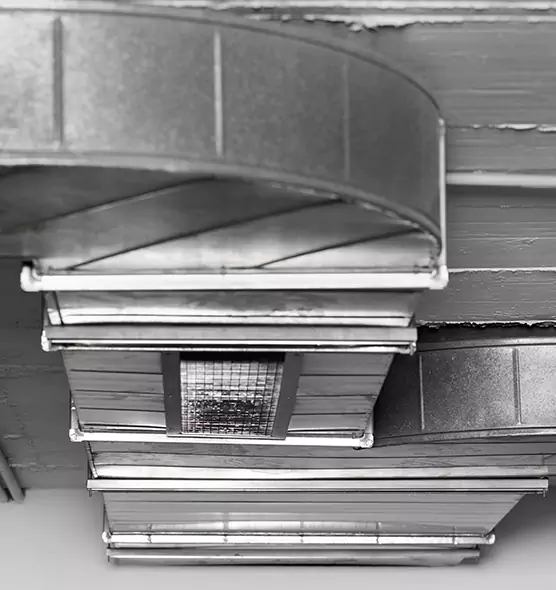 Professional Air Duct Pet Hair Removal in Pikesville, MD