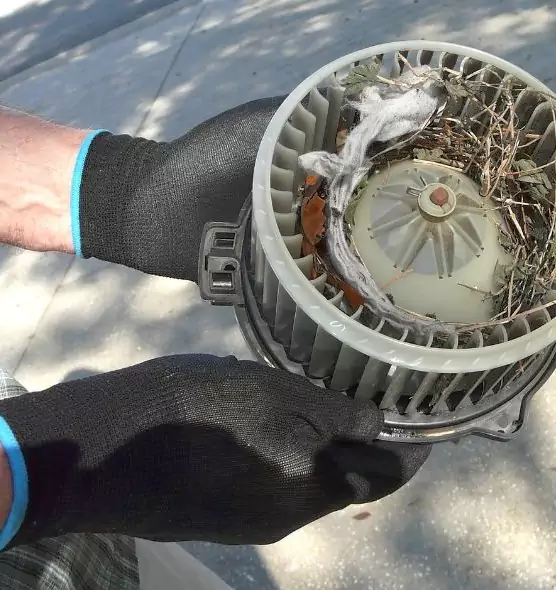 About Air Duct Rat Removal in Pikesville, MD