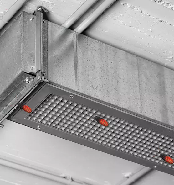 Affordable Insect Removal from Air Ducts in Pikesville, MD