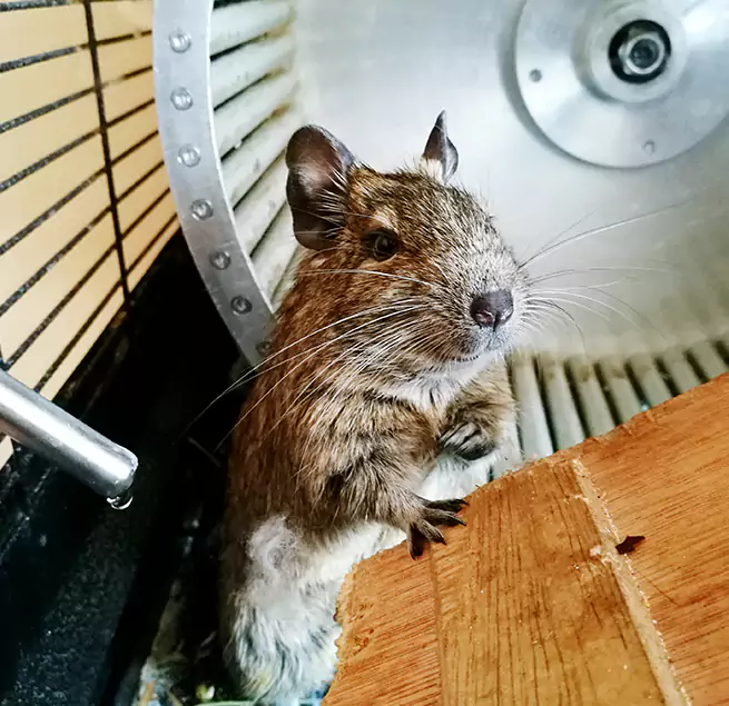 Why Homeowners & Businesses Trust Us Pikesville, MD