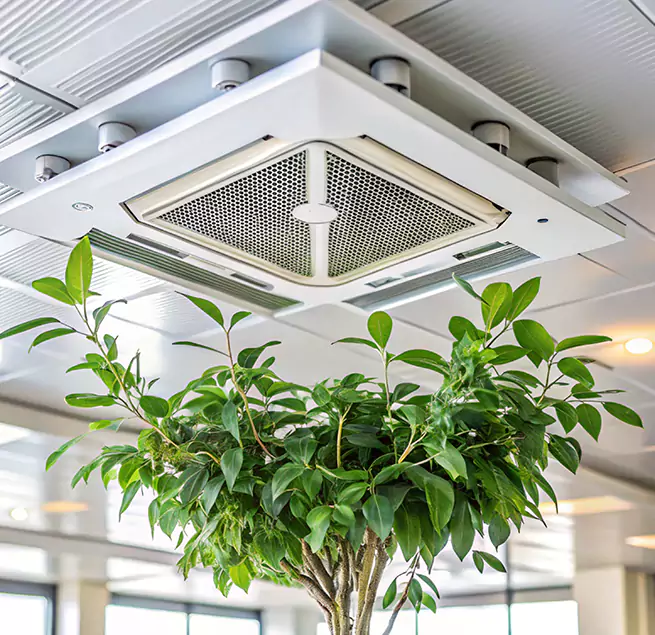 Why Homeowners & Businesses Trust Us in Pikesville, MD?